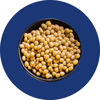 Soy in a blue bowl.