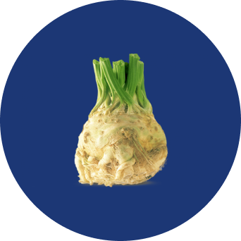 Celeriac in a blue circle.
