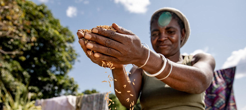 Planting seeds to thrive | UNICEF Aotearoa