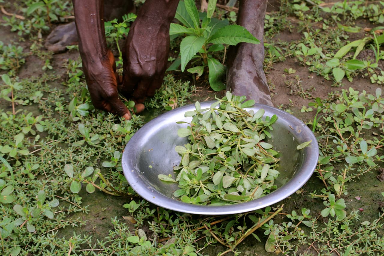 South Sudan | ©Unicef/UNI169324