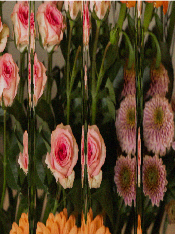 bloomon flowers reward program