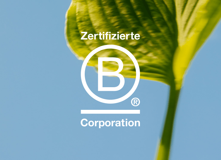 Zertifizierte B Corporation-Logo auf einem grünen Blatt