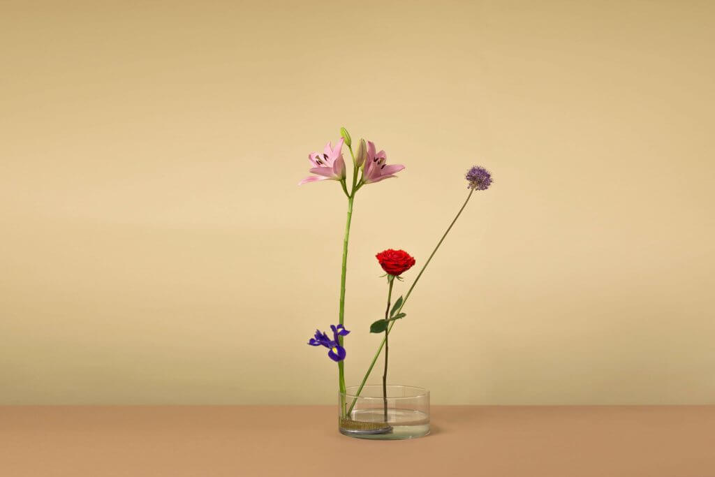 Ikebana-gereedschap voor bloemen, 2 stuks, spiraalvormige stengelhouder voor bloemen, doe-het-zelf bloemschikkengereedschap, herbruikbaar bloemenrooster voor vaasdecoraties, boekethouders (S L