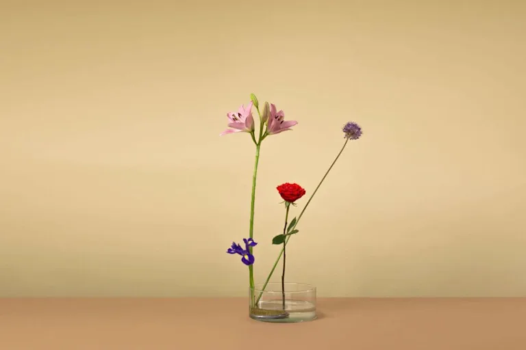 Ikebana-gereedschap voor bloemen, 2 stuks, spiraalvormige stengelhouder voor bloemen, doe-het-zelf bloemschikkengereedschap, herbruikbaar bloemenrooster voor vaasdecoraties, boekethouders (S L Ikebana-gereedschap voor bloemen, 2 stuks, spiraalvormige stengelhouder voor bloemen, doe-het-zelf bloemschikkengereedschap, herbruikbaar bloemenrooster voor vaasdecoraties, boekethouders (S L