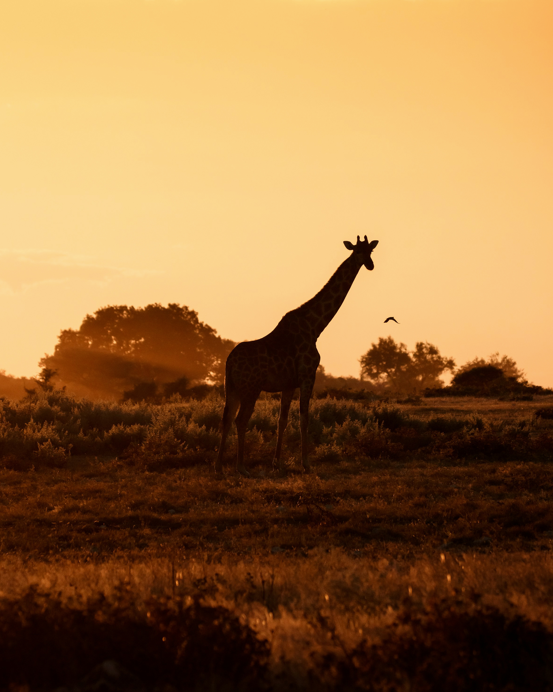 Circuitos e Grandes Viagens