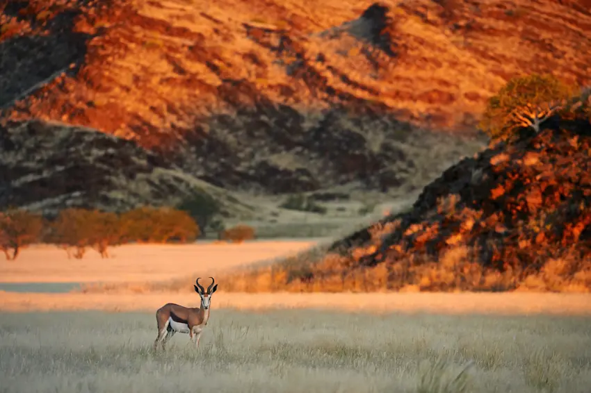 image Damaraland_2
