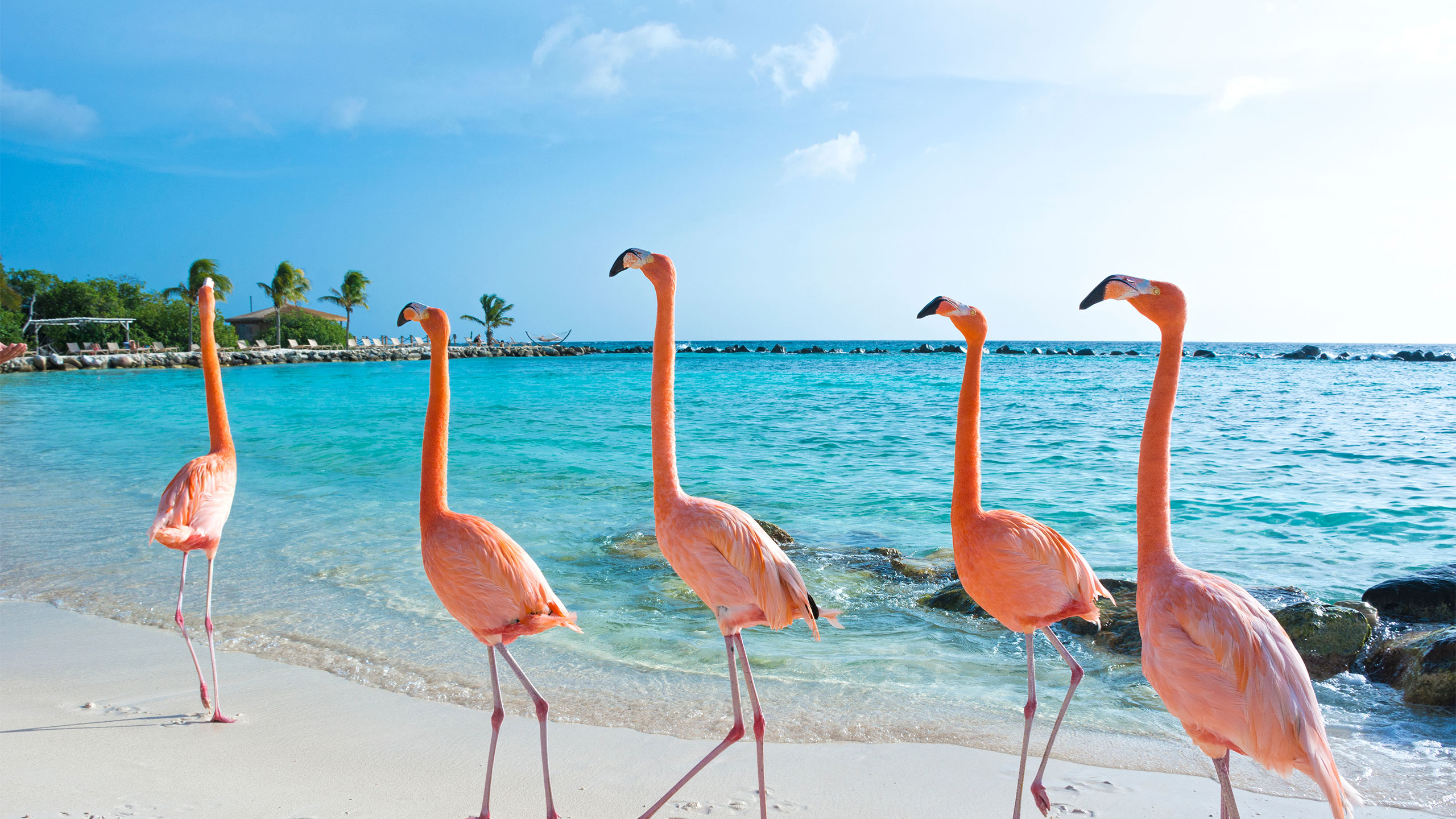 Aruba