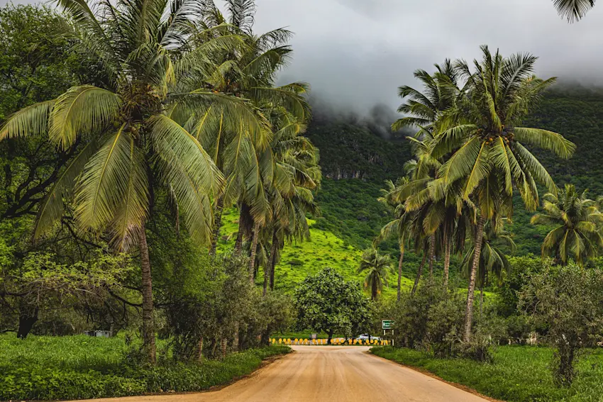 image salalah 2
