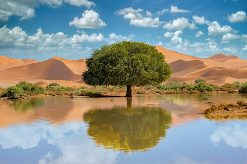 image Sossusvlei_1
