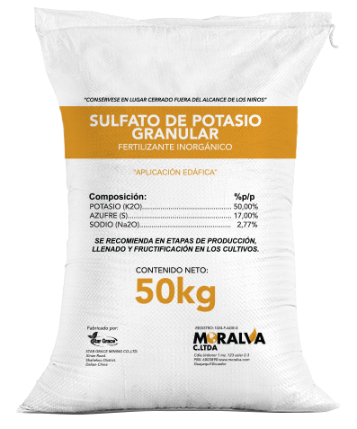 Moralva