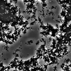Oxidative Stress