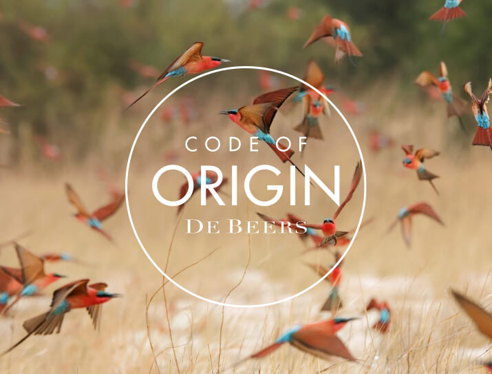 Code of Origin De Beers logo