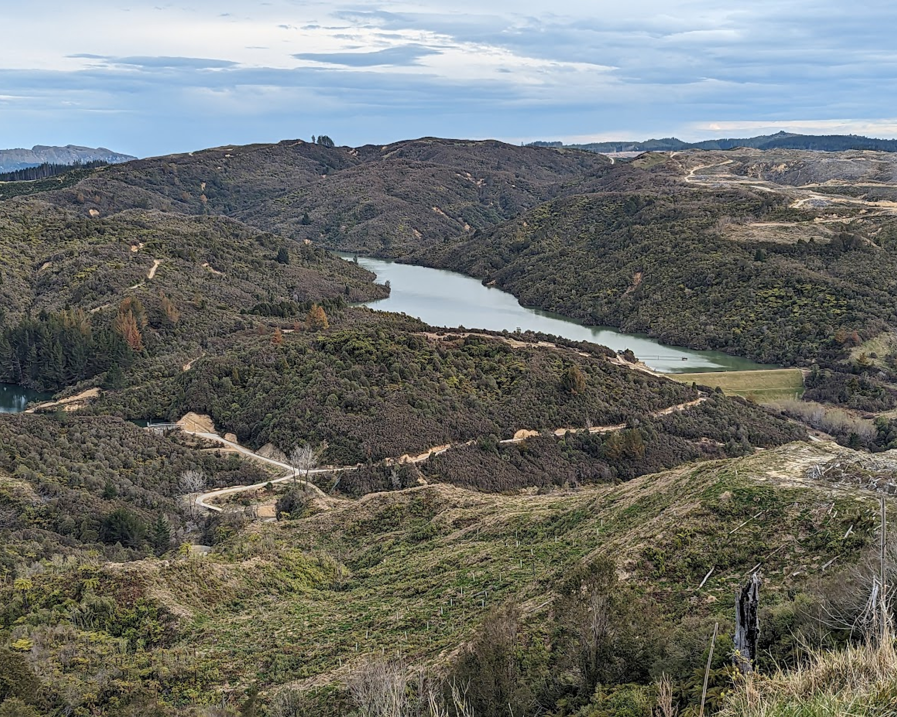 Photo of New Zealand landscape 
