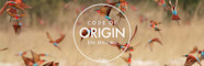 Code Of Origin De Beers