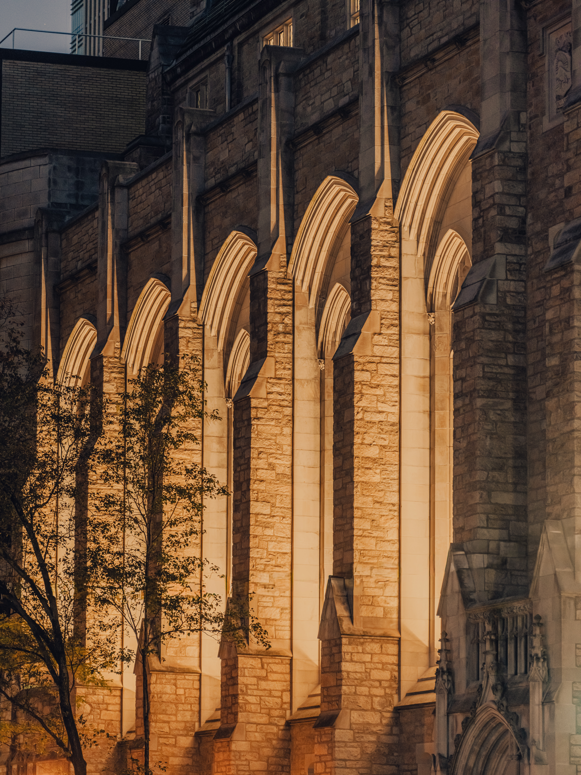 Photo by Pion Studio