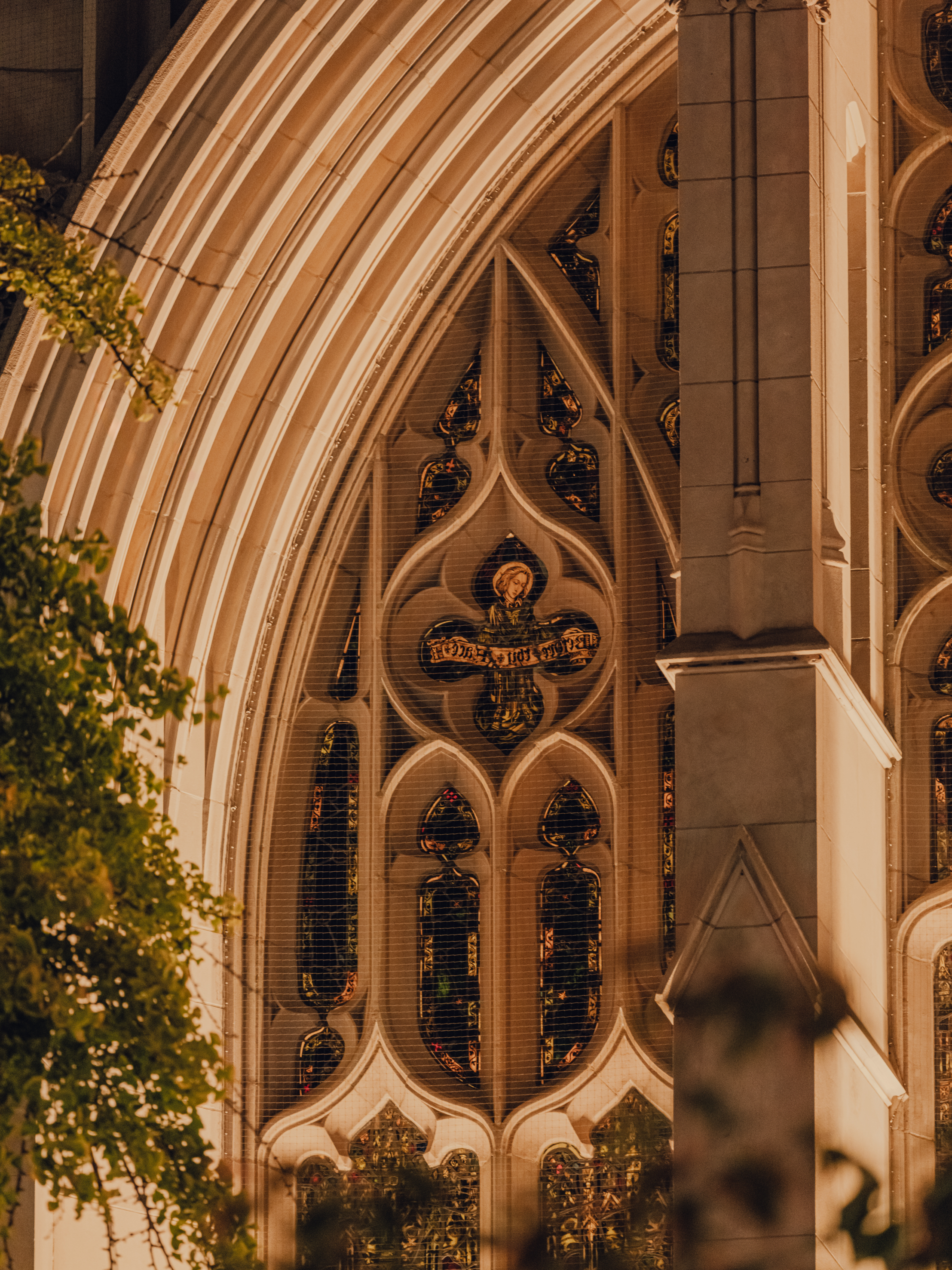 Photo by Pion Studio