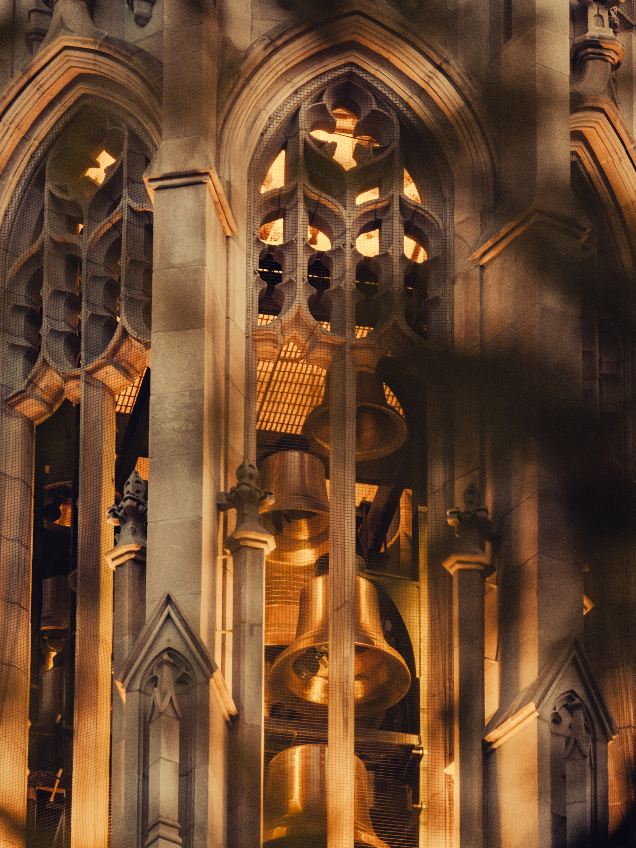 Photo by Pion Studio