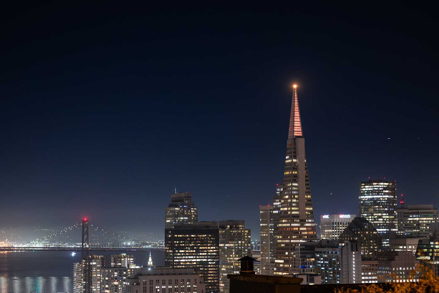 Transamerica Shvo