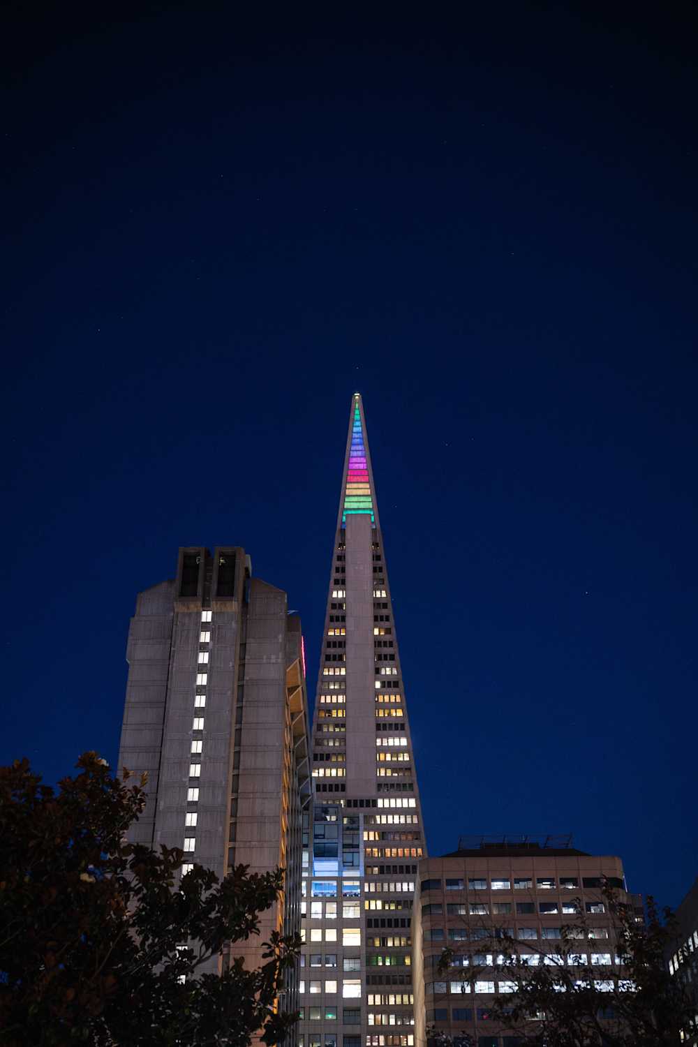 Transamerica Shvo