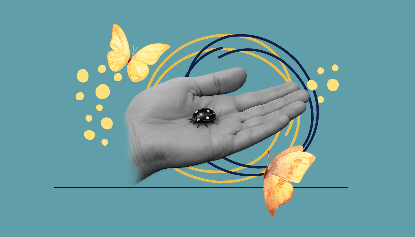 mikrokoki wyjście z domu