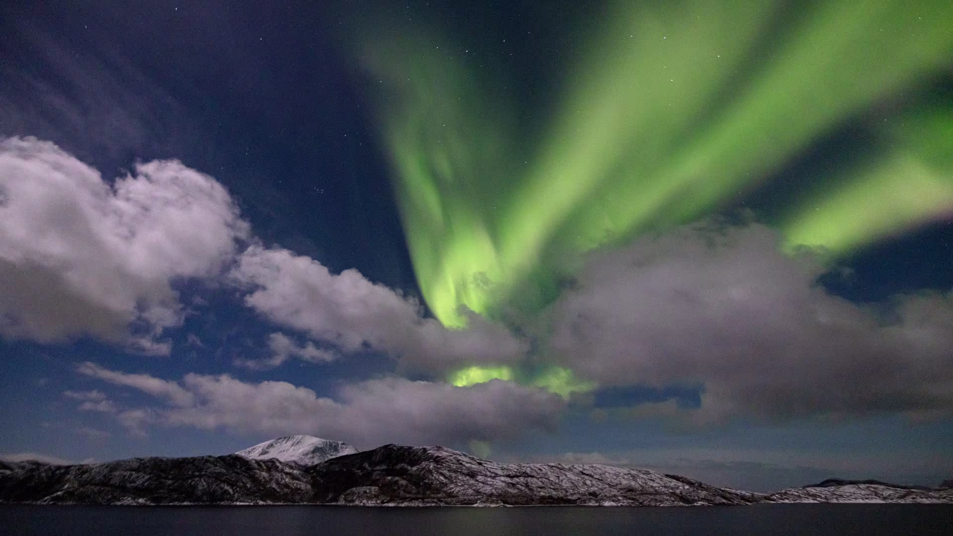 Northern lights seen from on board MS Maud, Norway.