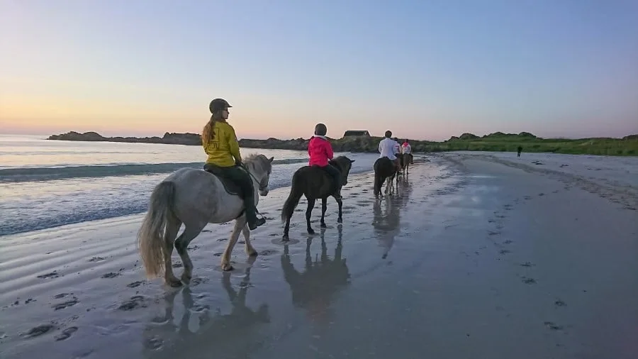 Lofoten à cheval