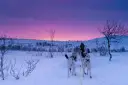 Traîneau à chiens, Tromso, Norvège