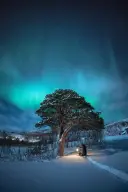 The northern lights over Lødingen, Norway