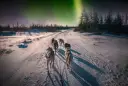 Dog sledding under the northern lights, Alta, Norway