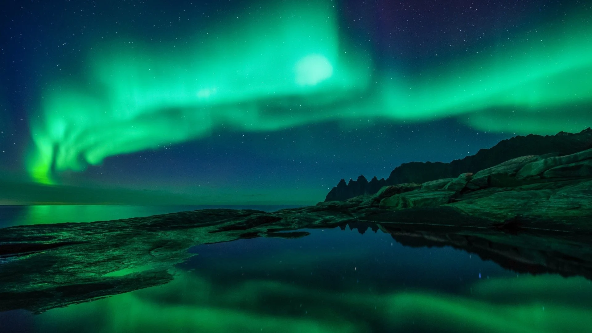 Les aurores boréales au-dessus de Senja en Norvège