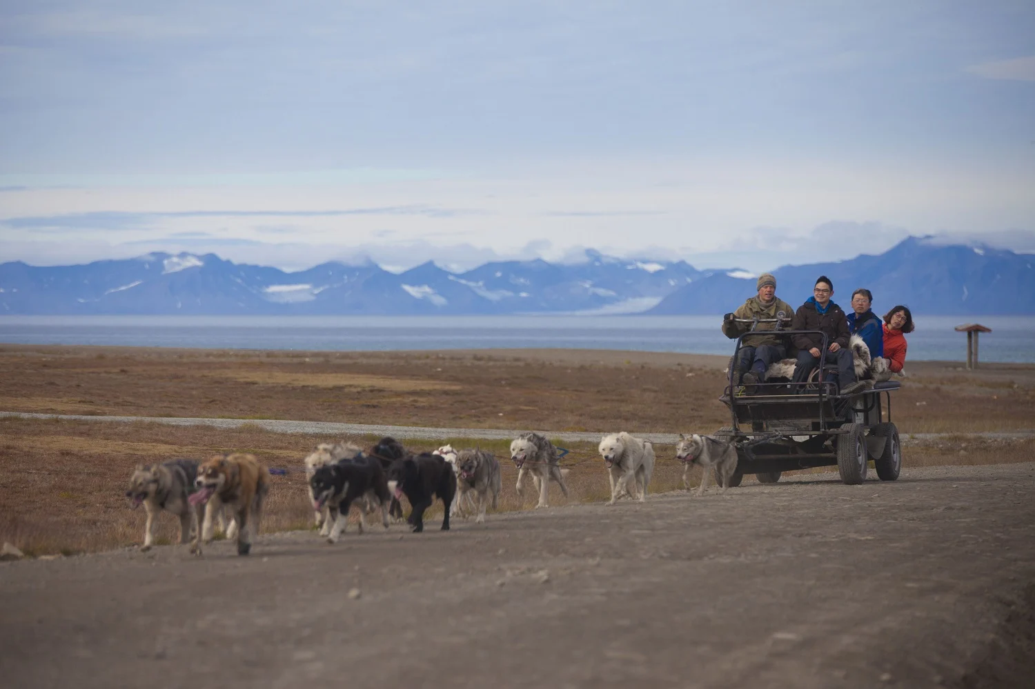 A husky wagon ride excursion in Longyearbyen, Svalbard