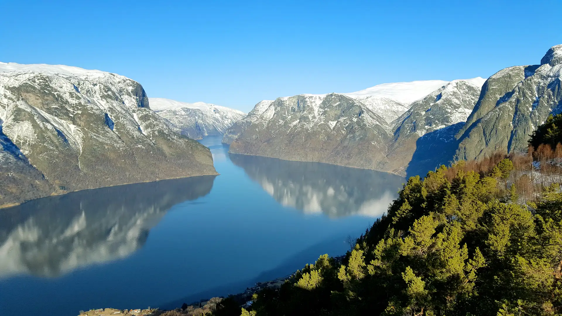 A serene fjord scene with snow-capped mountains reflecting in the calm water under a clear blue sky. Evergreen trees line the foreground.