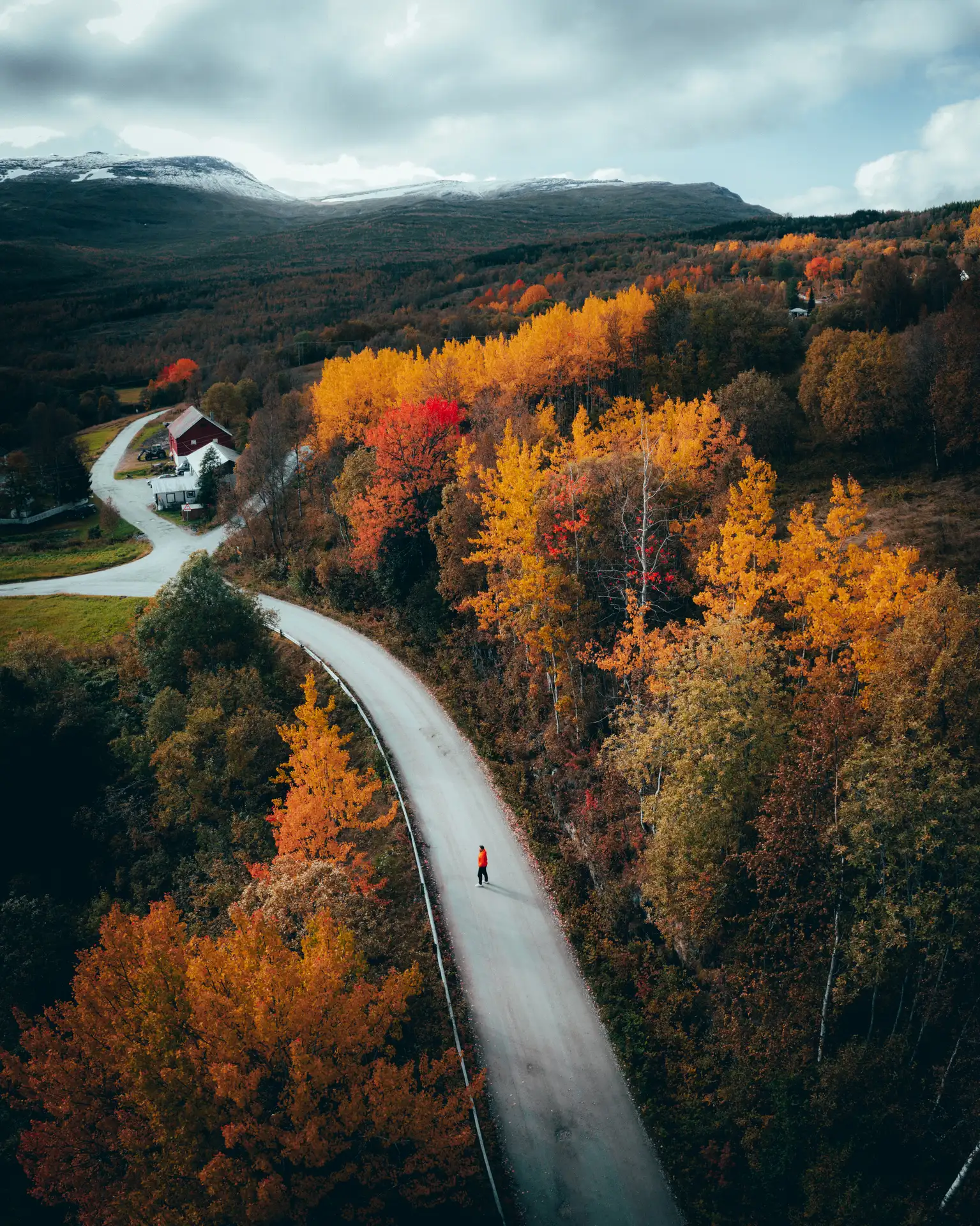 Autumn in Norway as trees turn orange. Image copyright: Steffen Fossbakk - Visit Norway