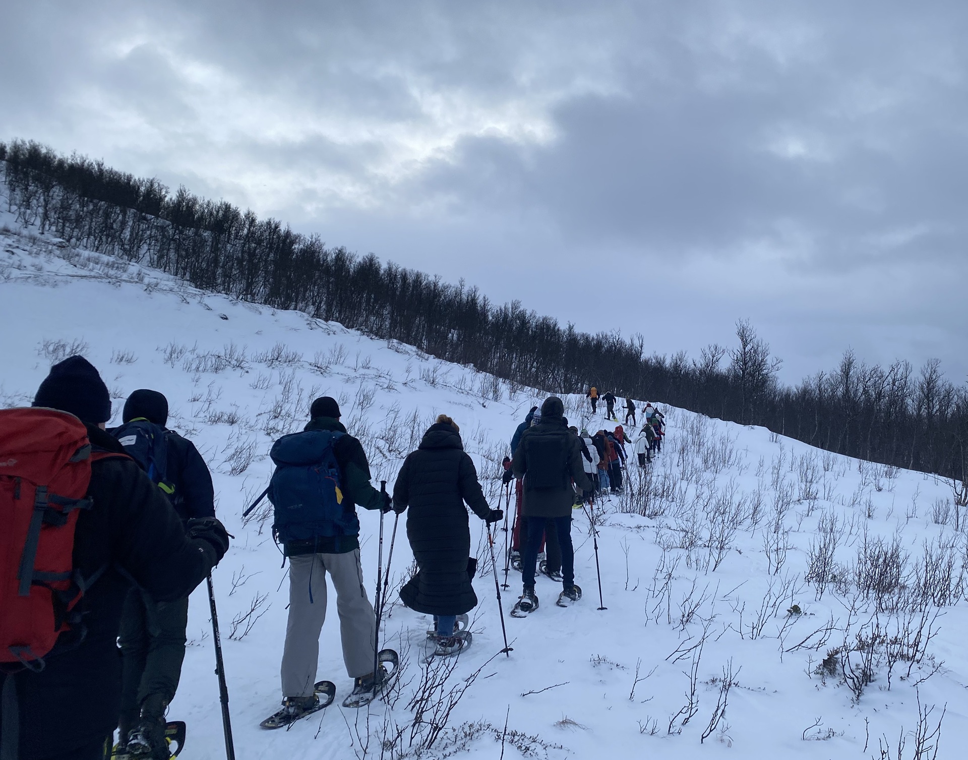 line-people-snowshoes-snow-hill-trees-grey-sky