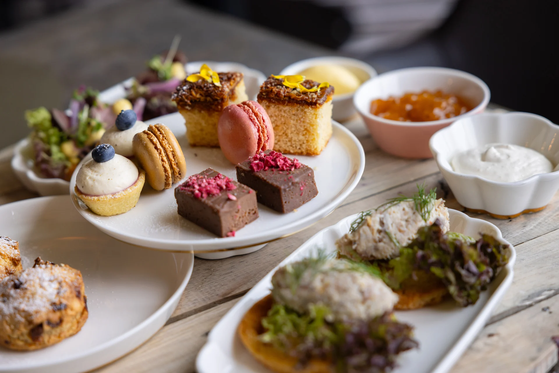 20240902-MS-Trollfjord-Afternoon-Tea-18-Espen-Mills 3x2