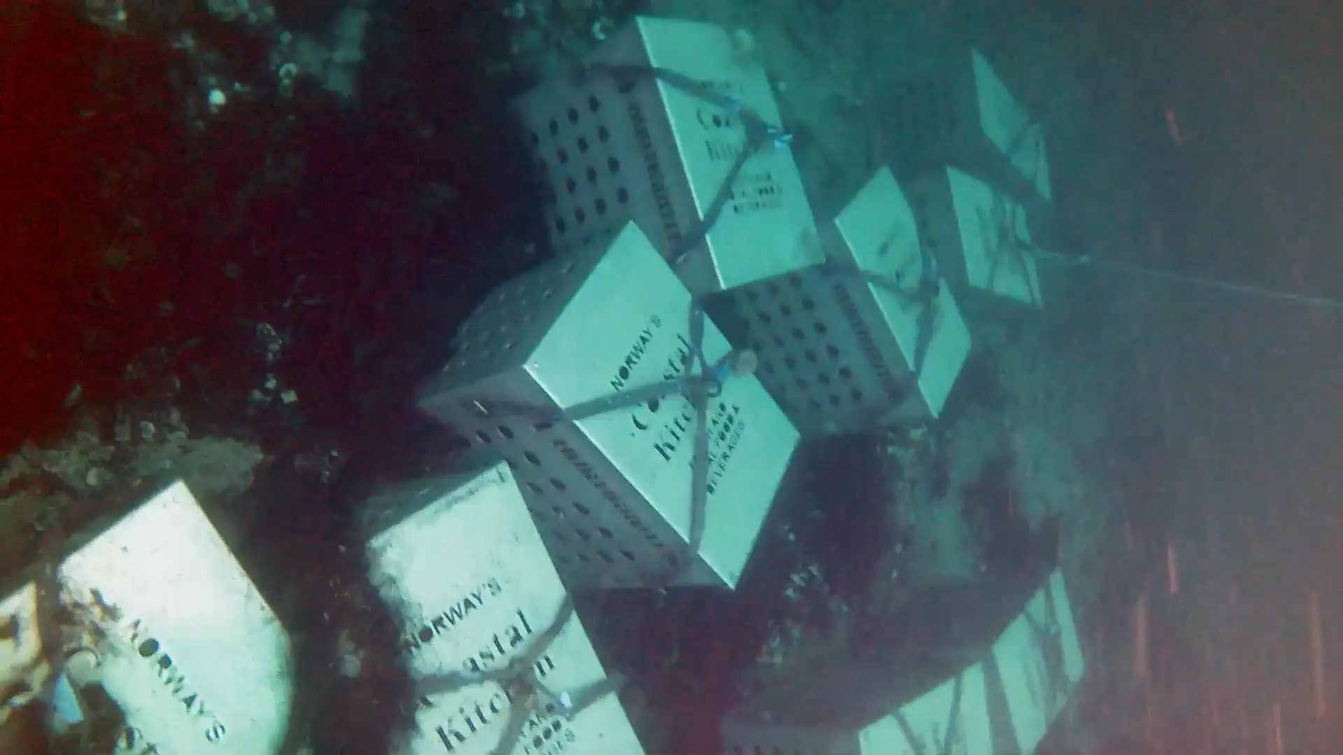 Unterwasseraufnahmen von „Arctic Barolo“, der auf dem Meeresgrund reift