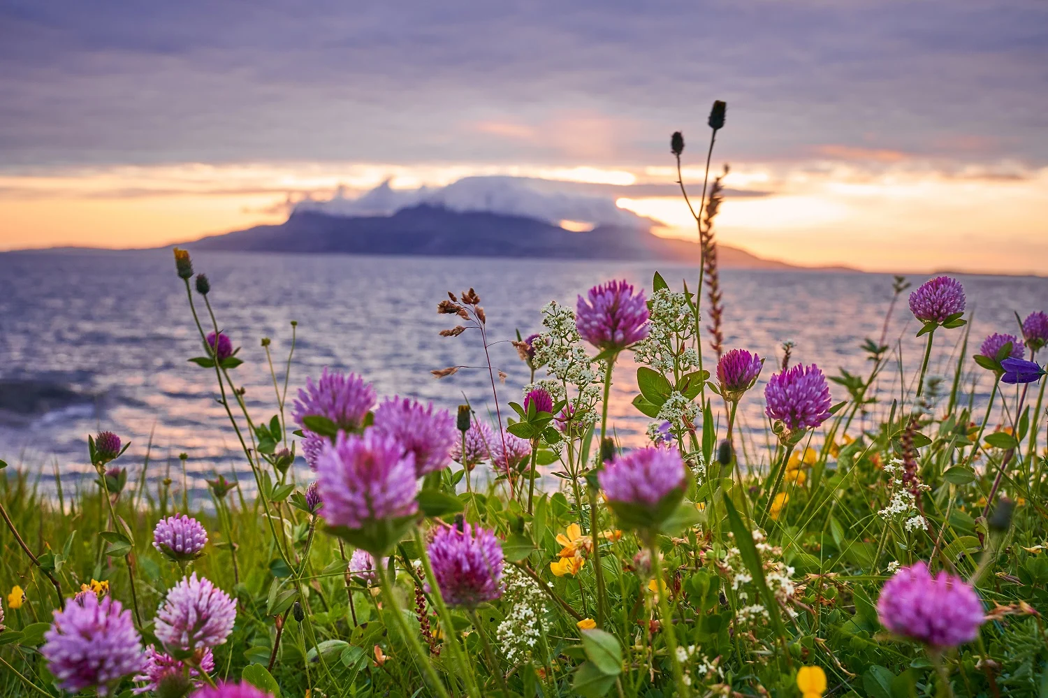 Spring in Norway Photo Credit:  shutterstock