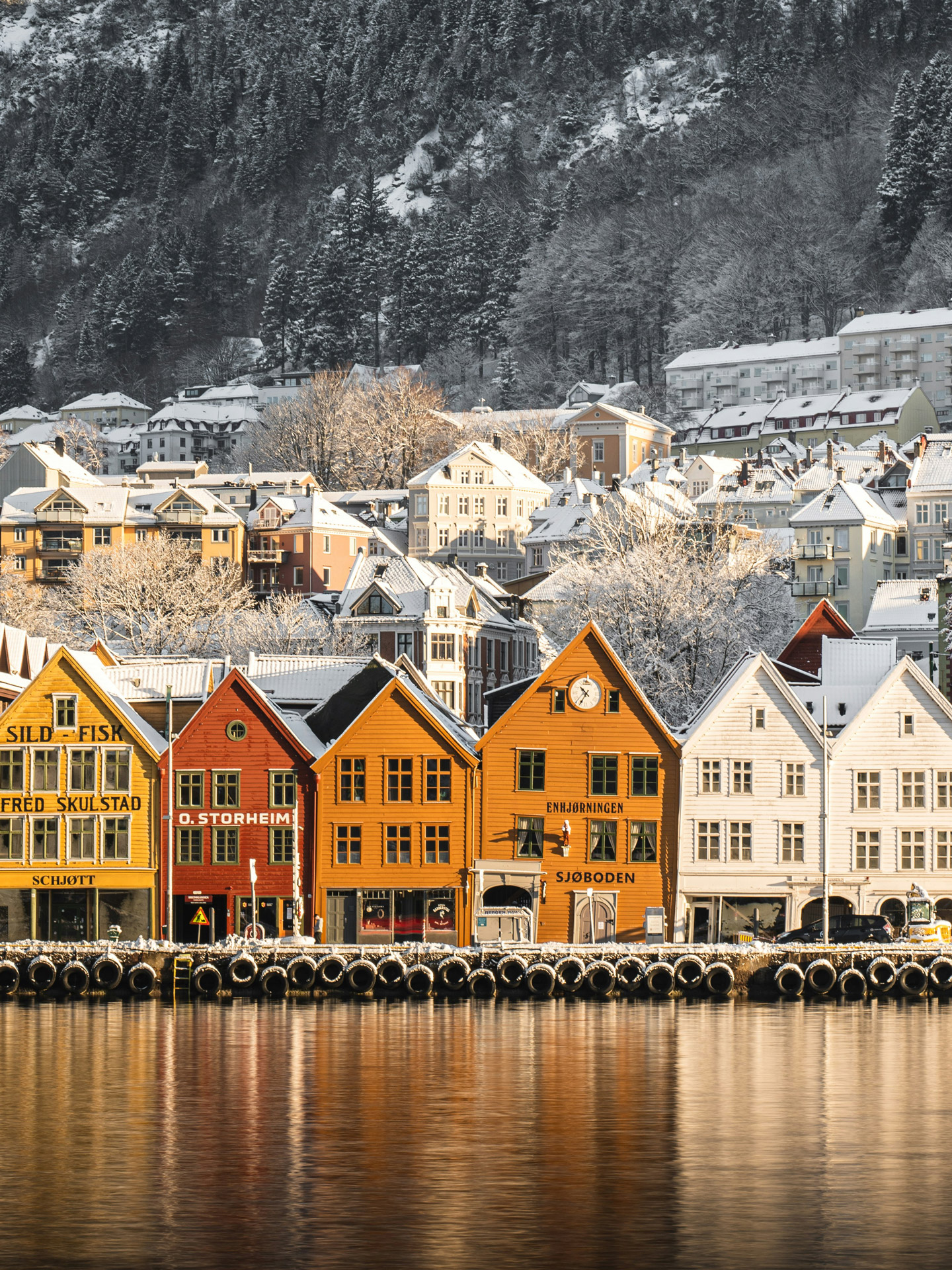 Follow the Northern Lights – Finland to Norway (Autumn 2027–Winter 2028)