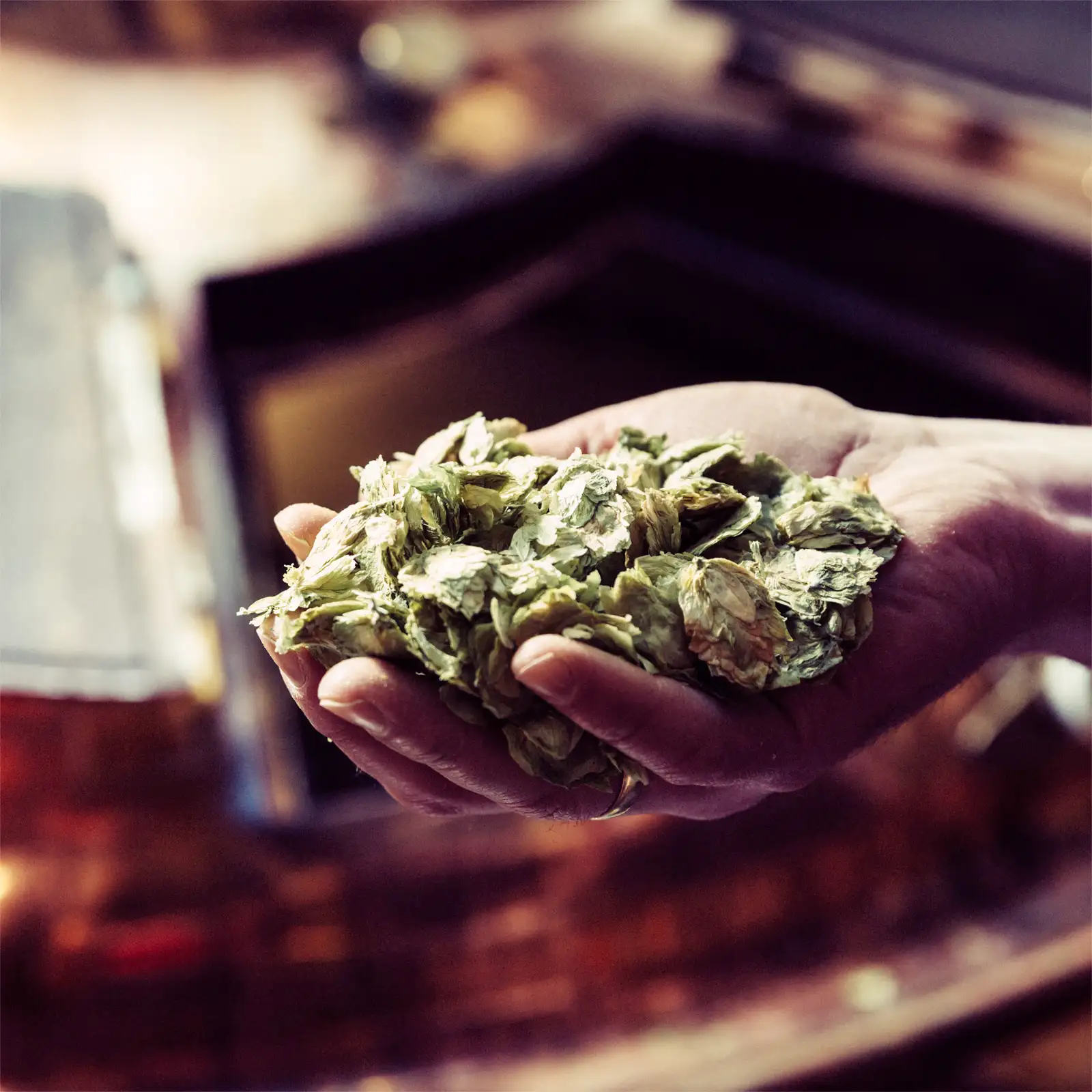 Arctic Brewing Experience