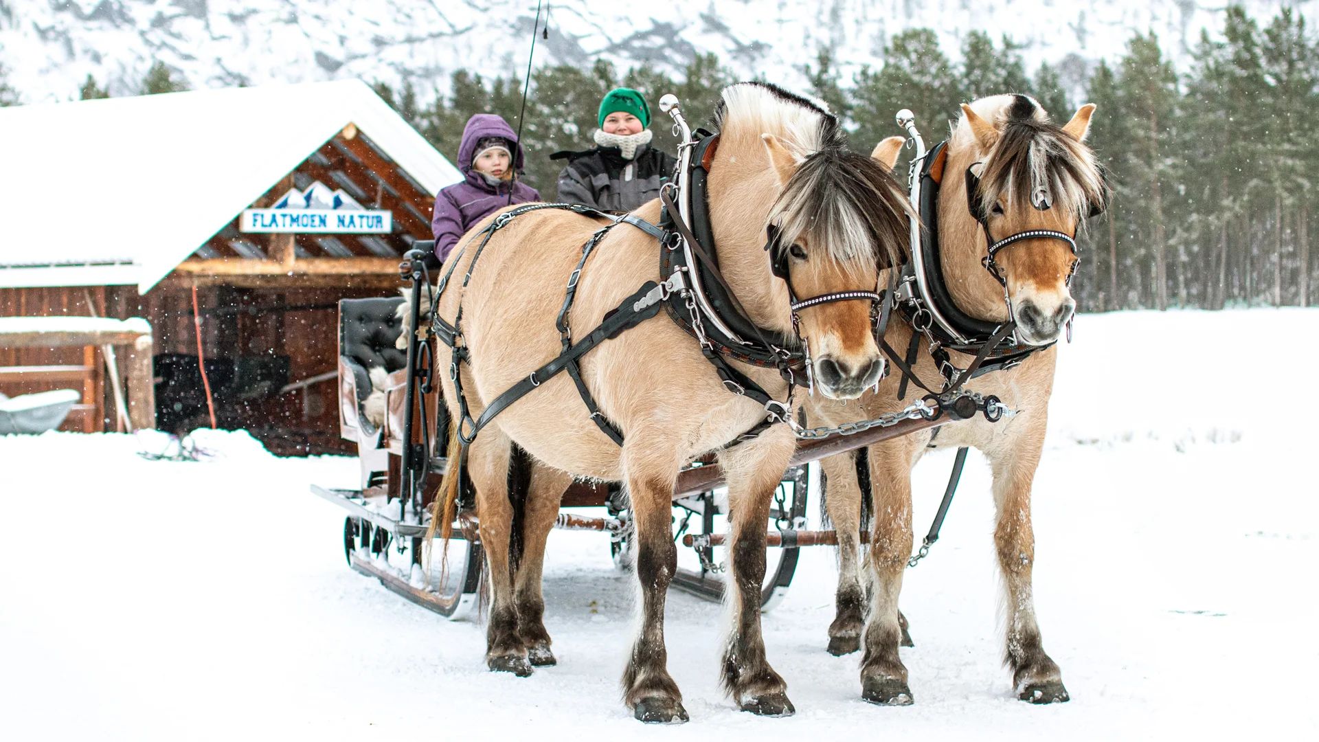 A horse-drawn sleigh in the snow with two people riding