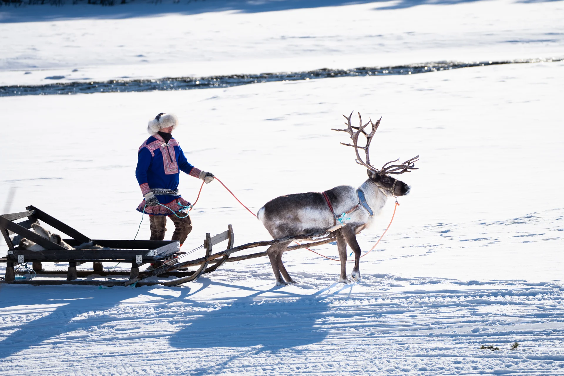 A Sami herder and his reindeer in Alta, Norway. Copyright: Katelin - Sorrisniva