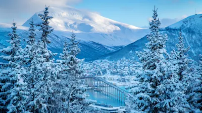 Die Arktis-Linie - Kurs Süd