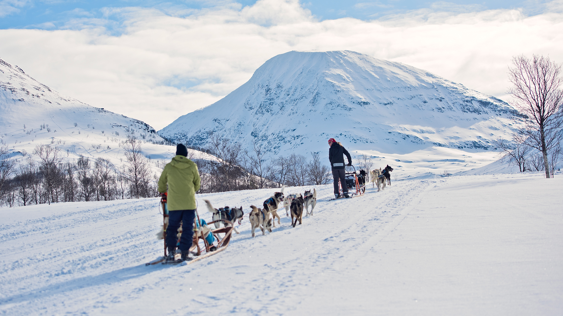 Begeben Sie sich auf ein Hundeschlittenabenteuer in der verschneiten Wildnis rund um Tromsø.