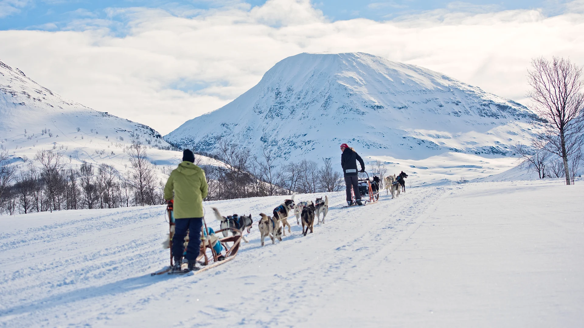 The Arctic Line - South