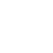 Revised NLP Logo 2024 NEG rgb 180px