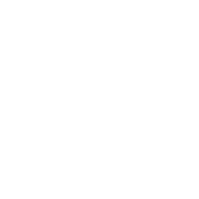 Revised NLP Logo 2024 NEG DK NO rgb 180px