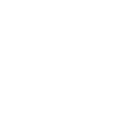 Revised NLP Logo 2024 NEG DE rgb 180px