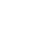 Revised NLP Logo 2024 NEG SV NO rgb 180px