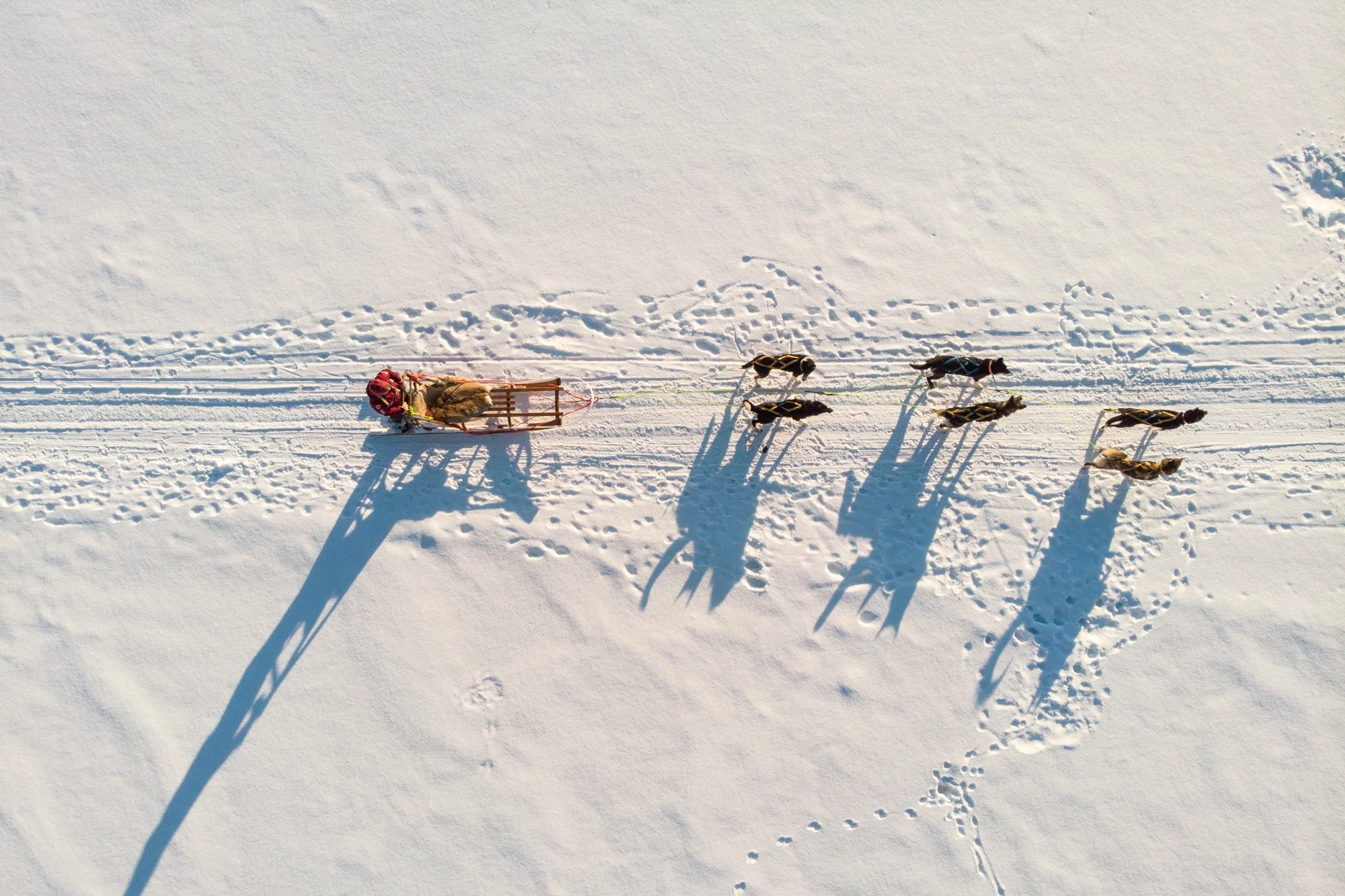 Head out into the frozen landscapes of Alta by husky sled (Image Credit: VisitNorway.com)