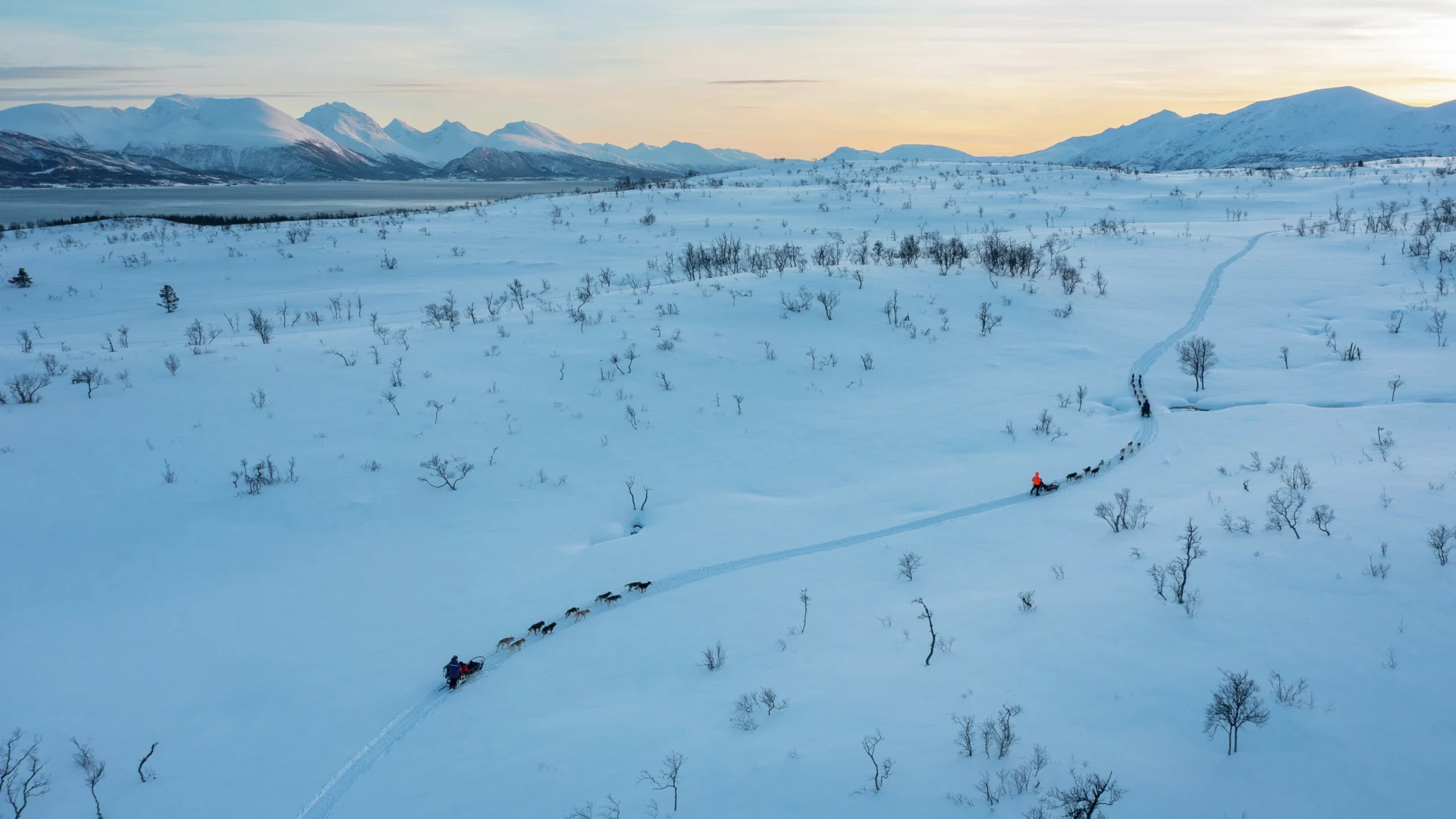 dog sledding Tromso Norway HGR 153136 1920 Espen Mills